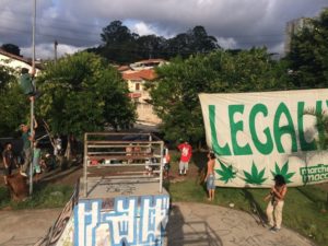 Se liga no RaposÃ£o quase no topo do poste de luz. DoidÃ£o!